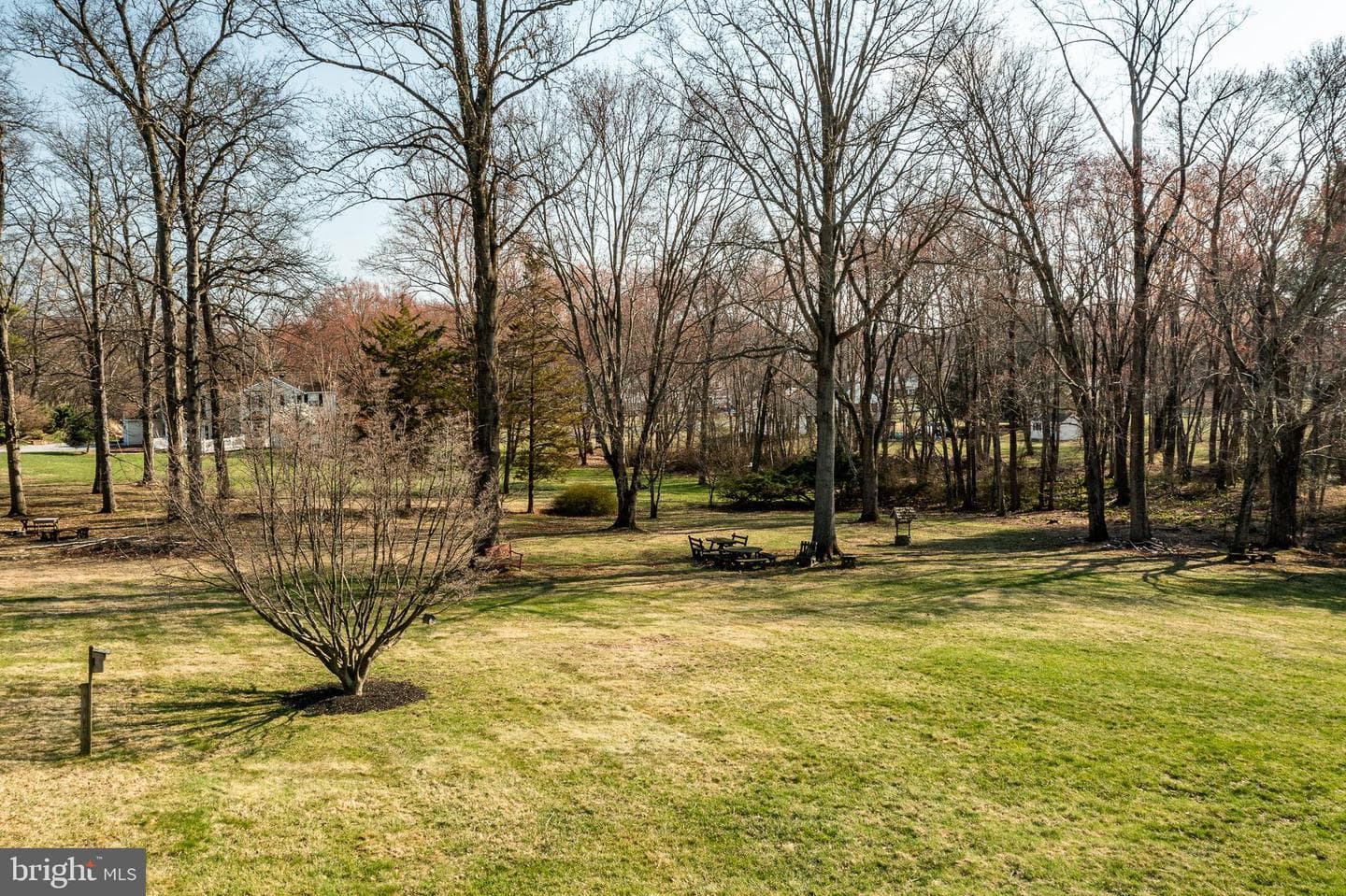 14 David Drive photo 43