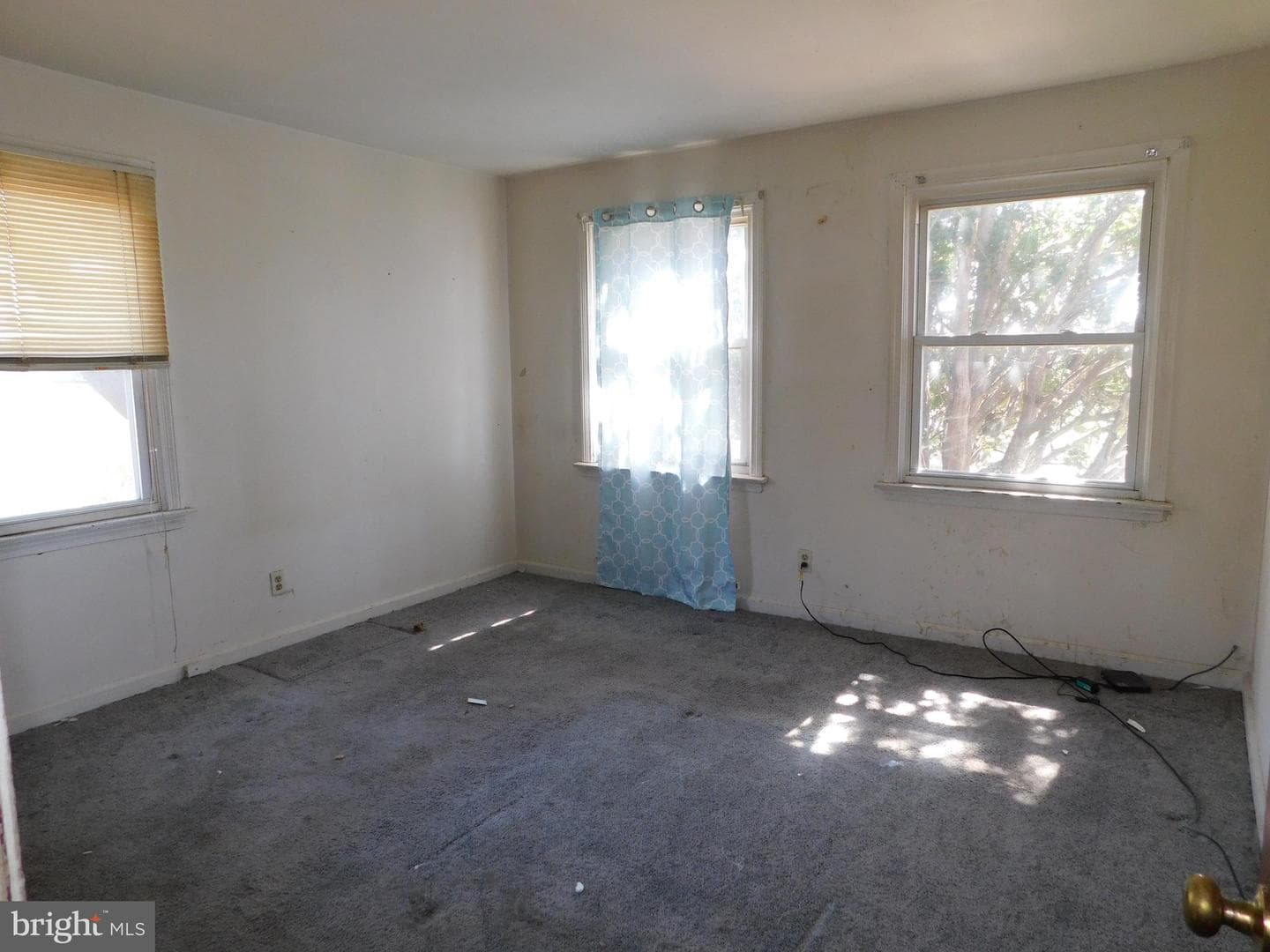 1205 Bartram Avenue photo 13