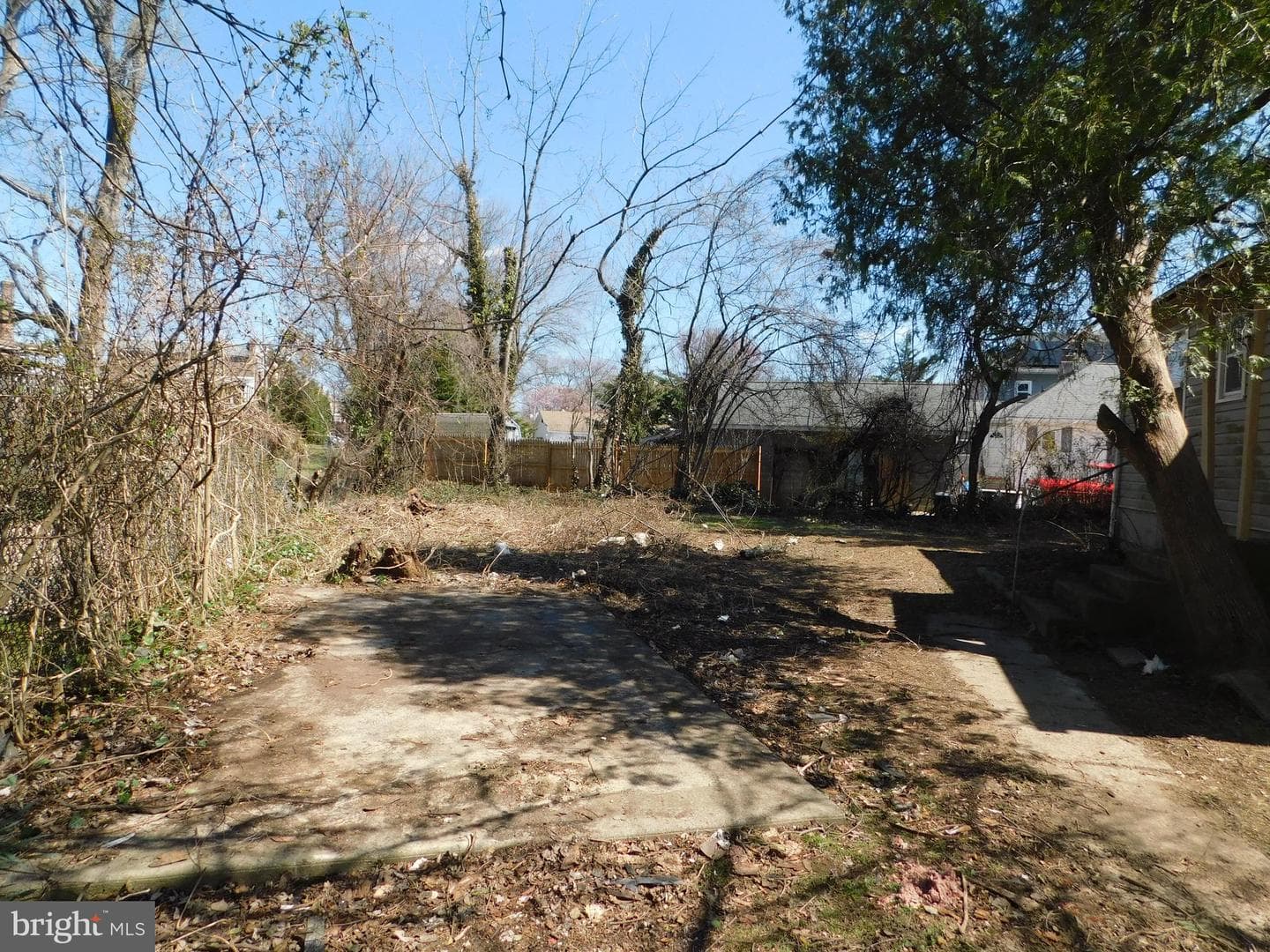 1205 Bartram Avenue photo 5