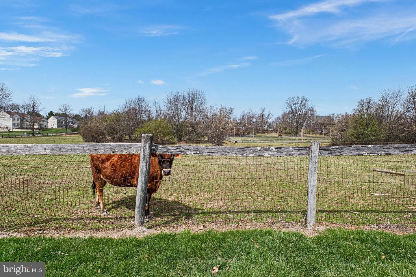 26 Woodside Farm Drive photo 19
