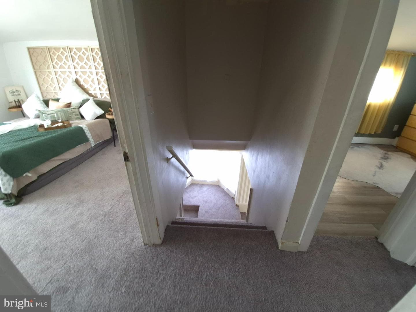 916 Spruce Street photo 30