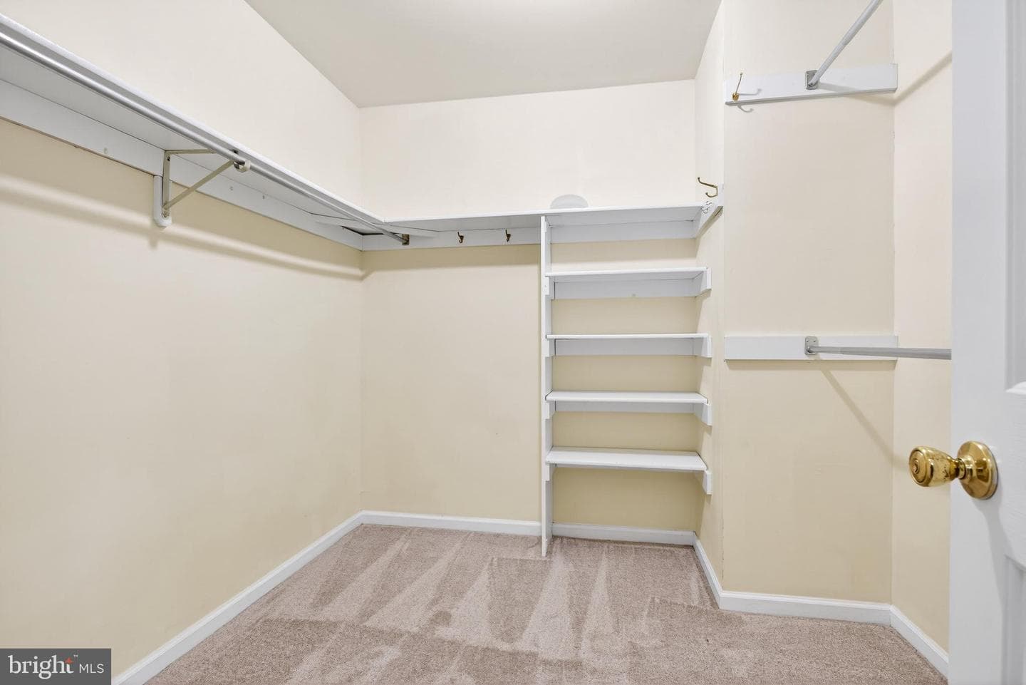 503 Haverford Court photo 22