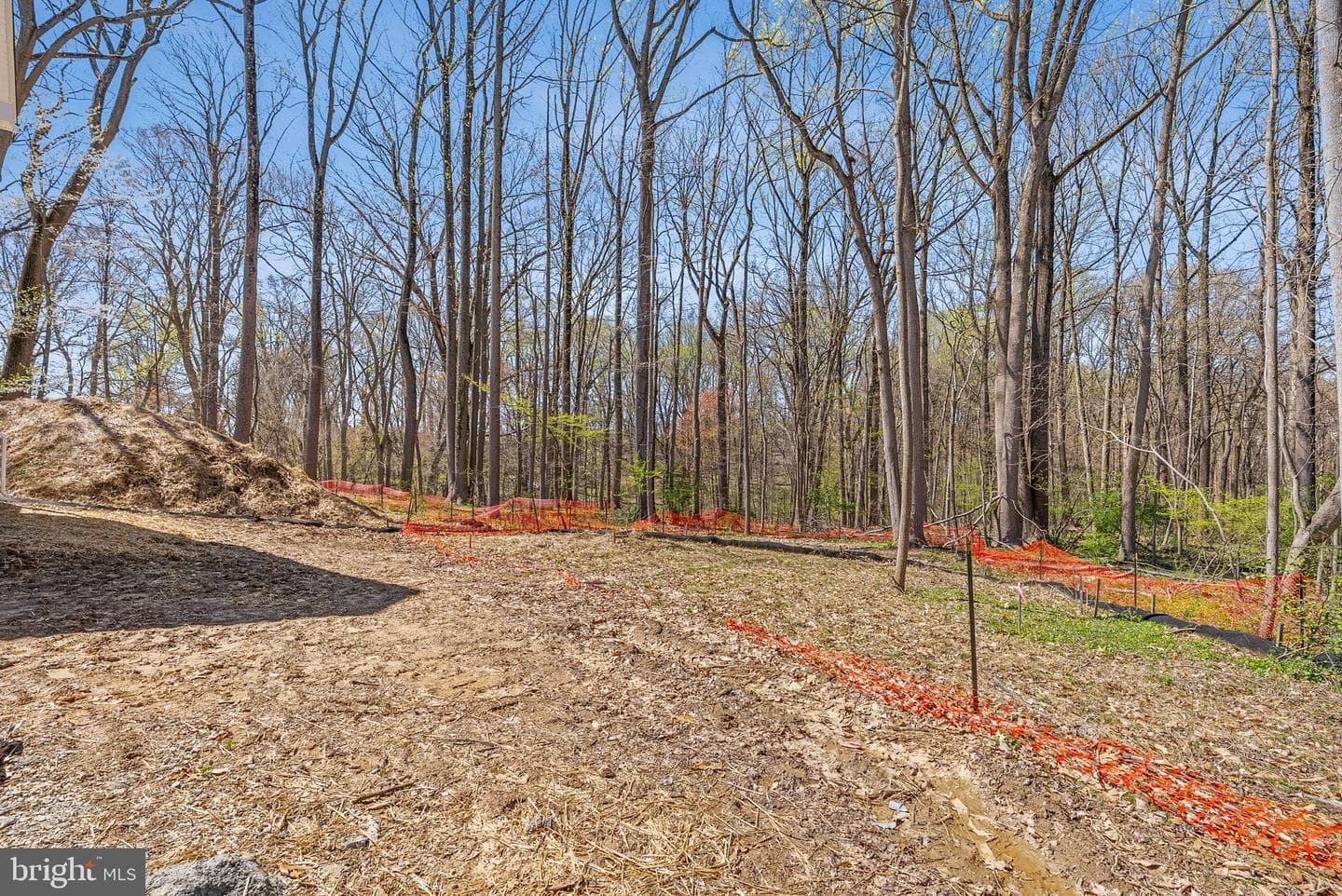 440 Sandy Bank Road photo 18
