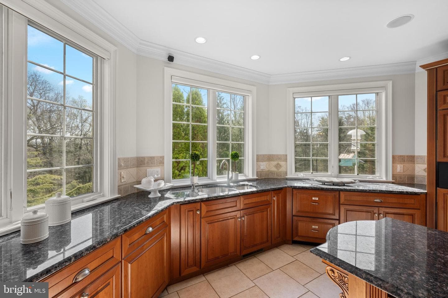 365 Arbor Circle photo 15