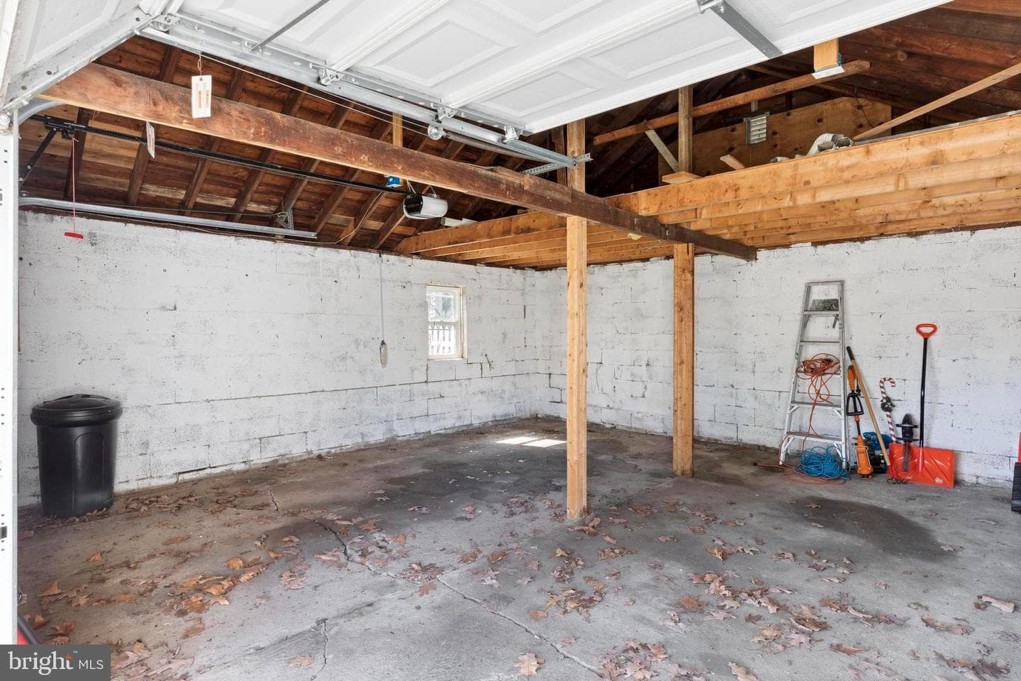 1001 Primos Avenue photo 24