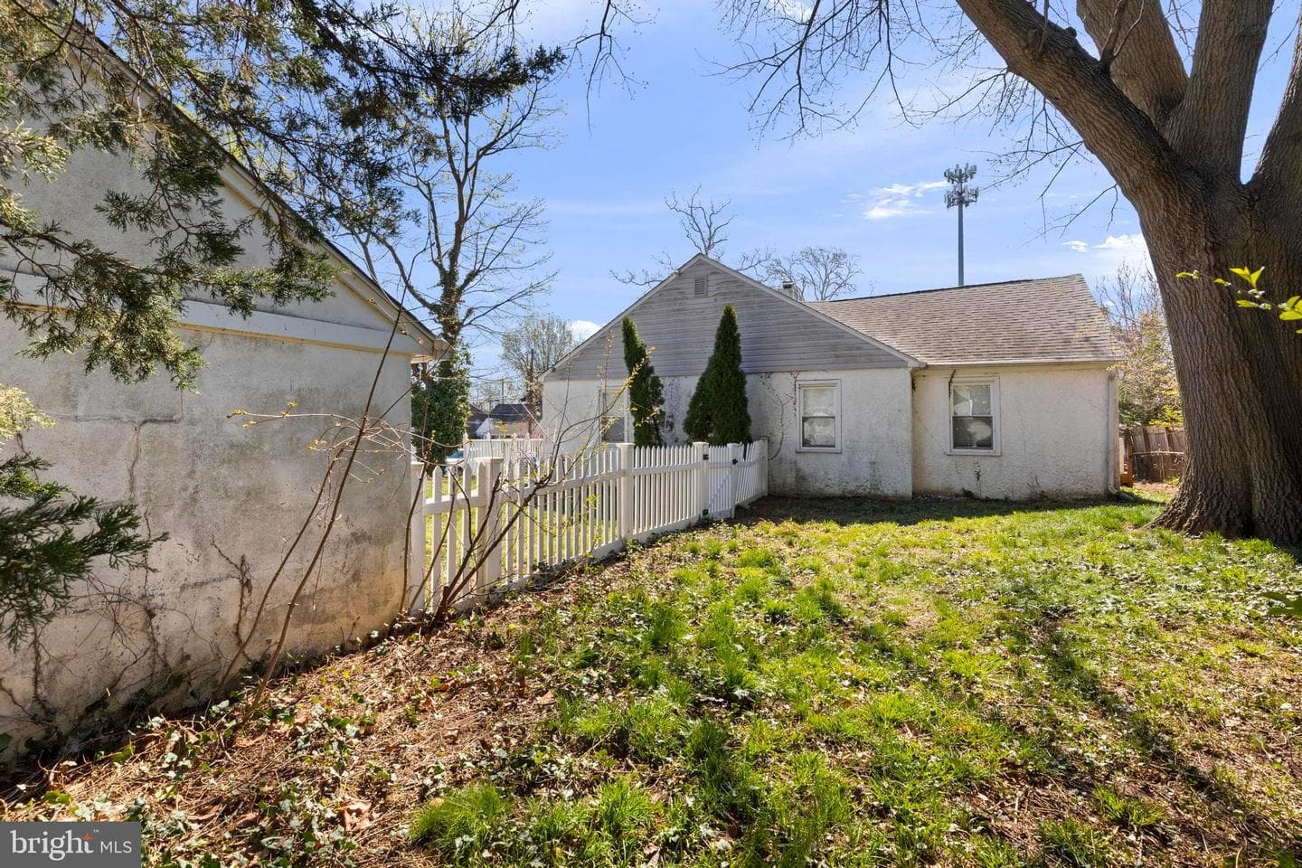 1001 Primos Avenue photo 26