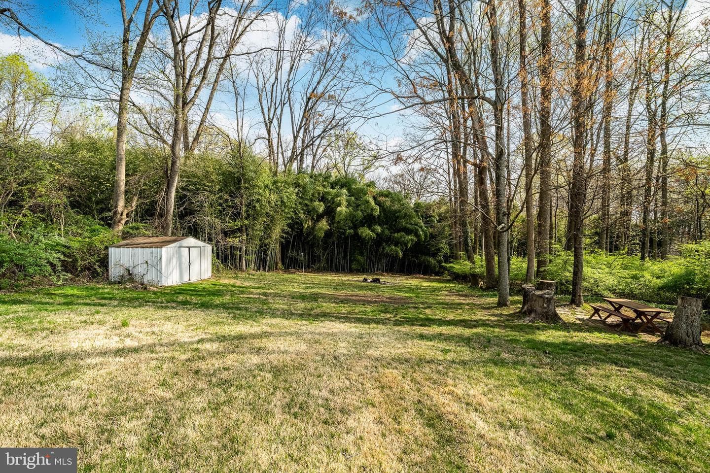 3119 Laughead photo 30