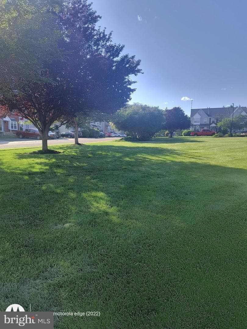6 Victoria Drive photo 6