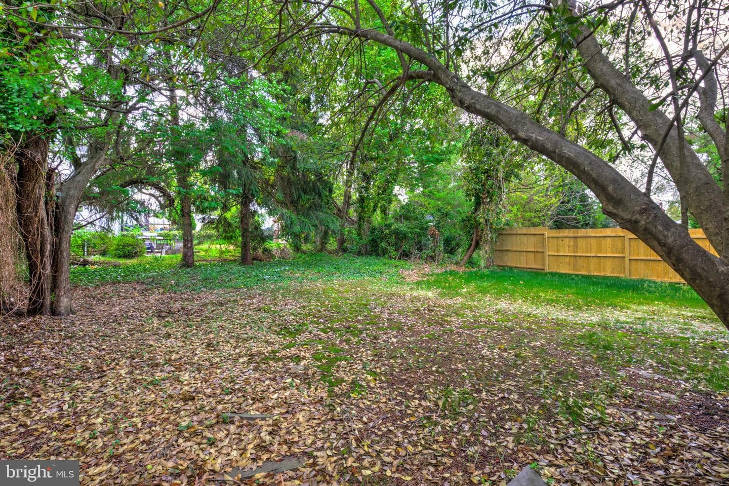 242 Shadeland Avenue photo 26