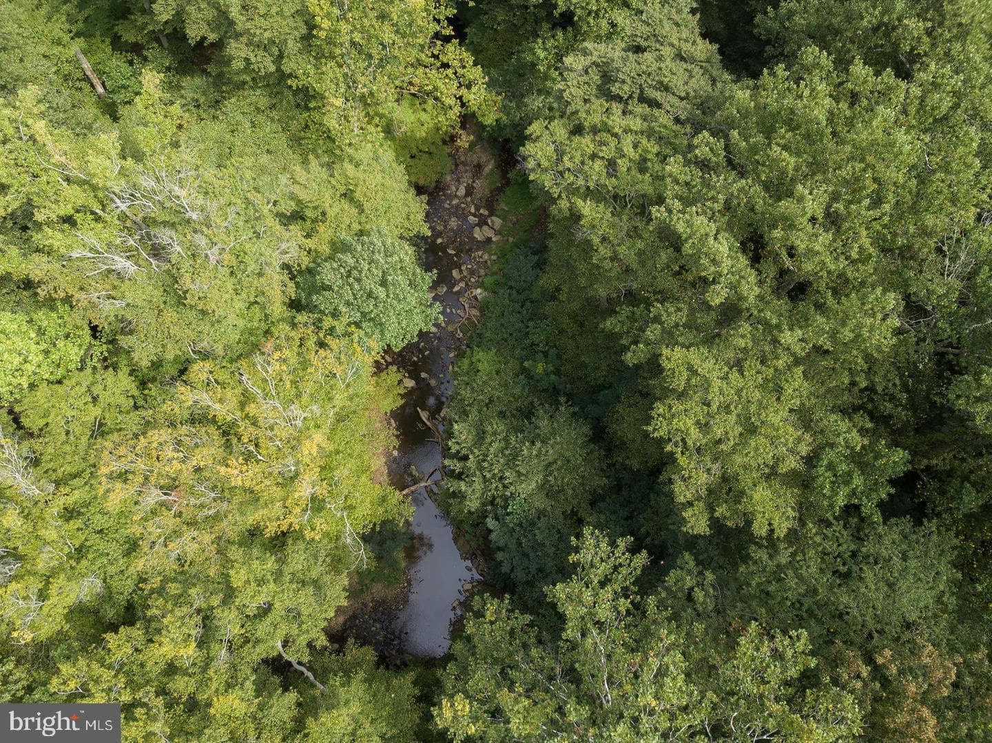 3111 Sawmill Road #lot 2 photo 7