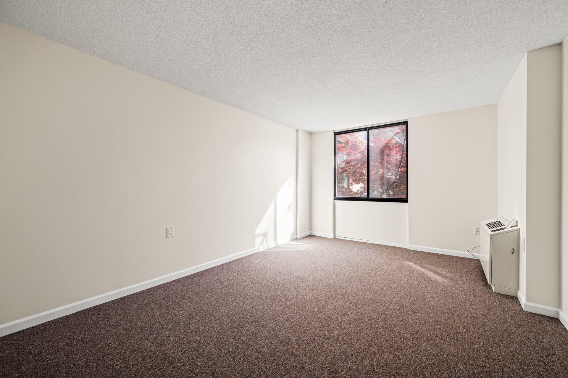 801 Yale Avenue #411 photo 10