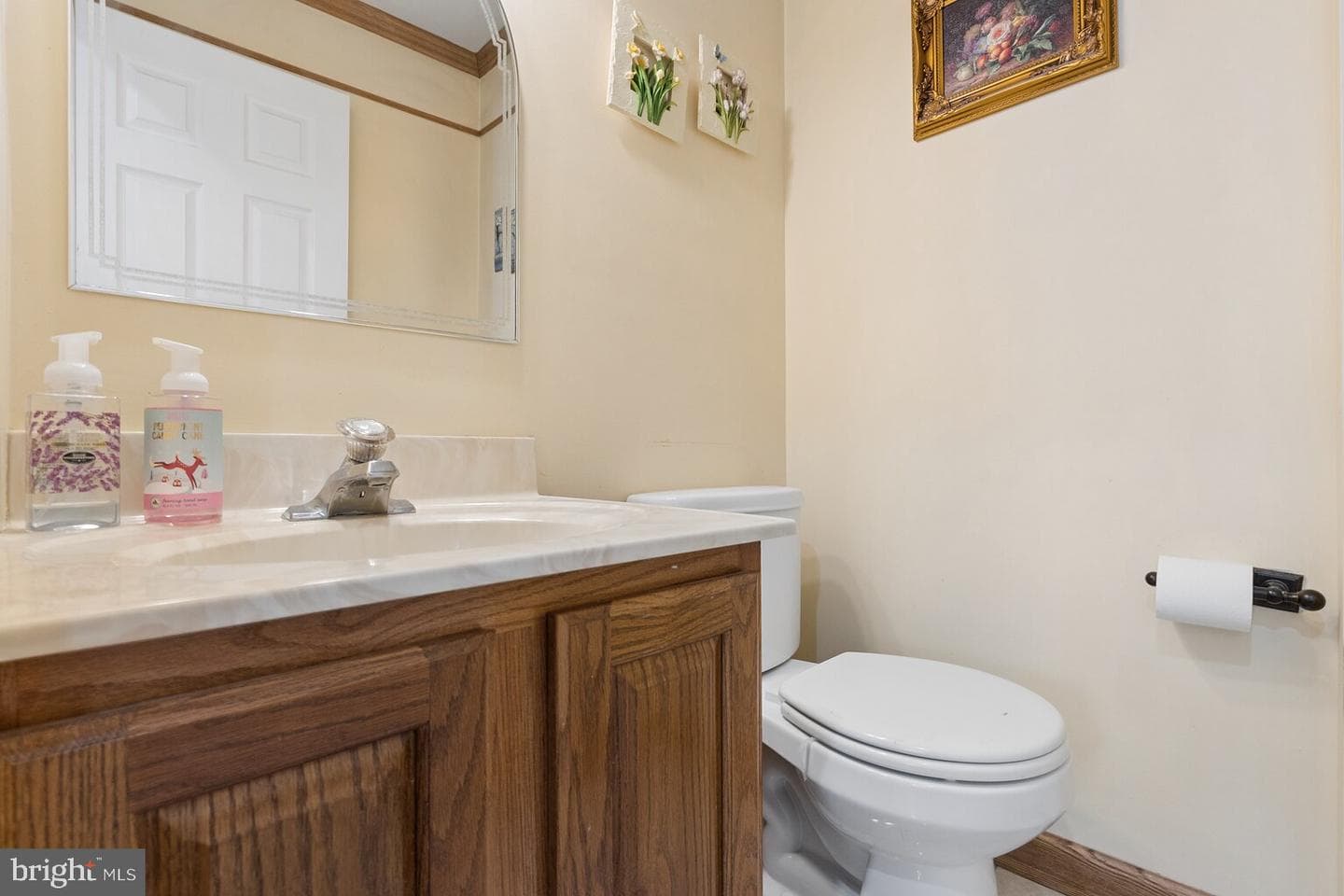239 Spring Valley Way photo 20