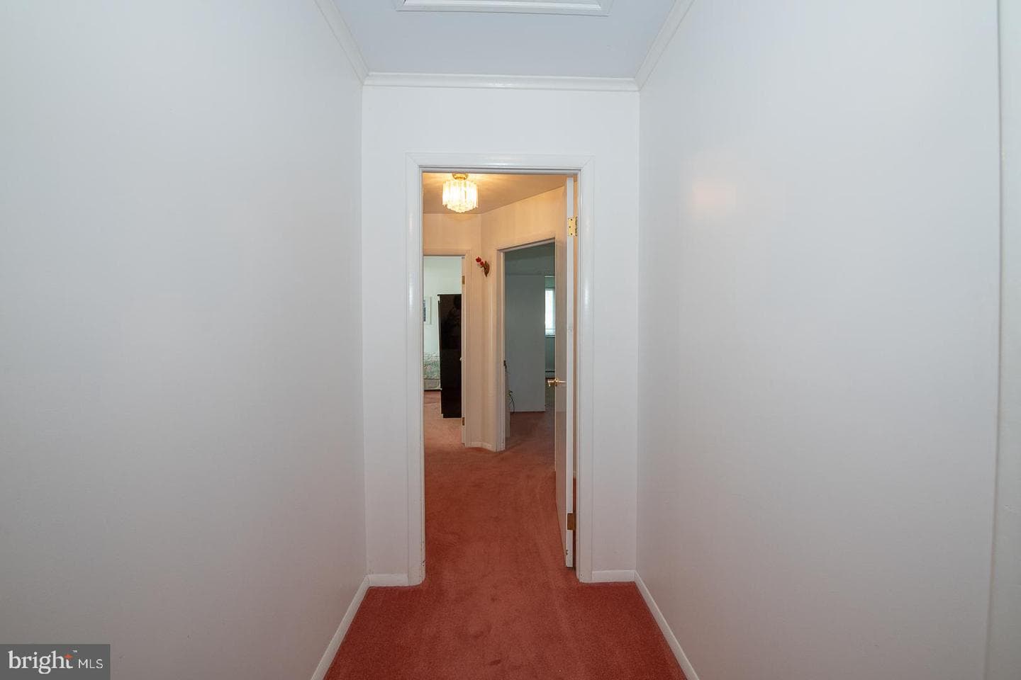 1000 Beech Road photo 31