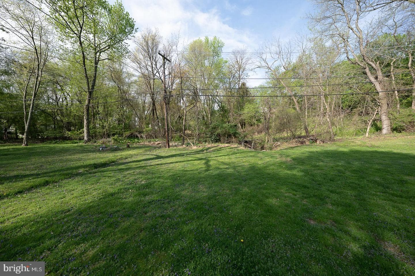 102 Tuscany Road photo 30
