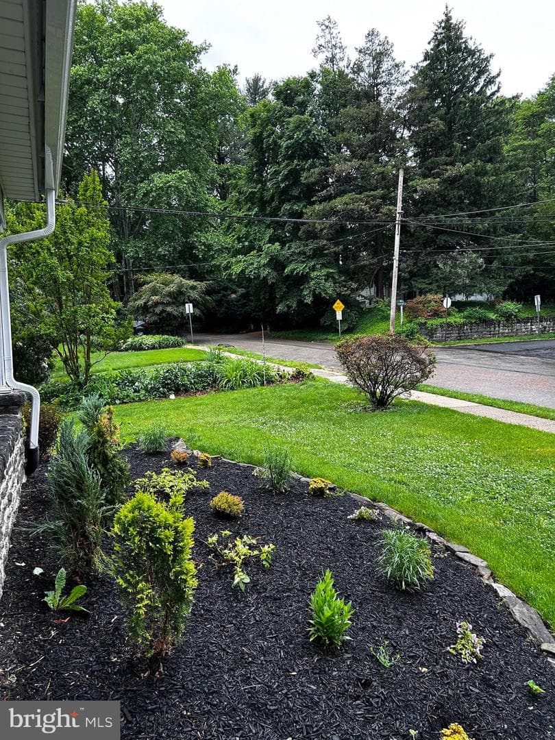 803 Grove Place photo 30