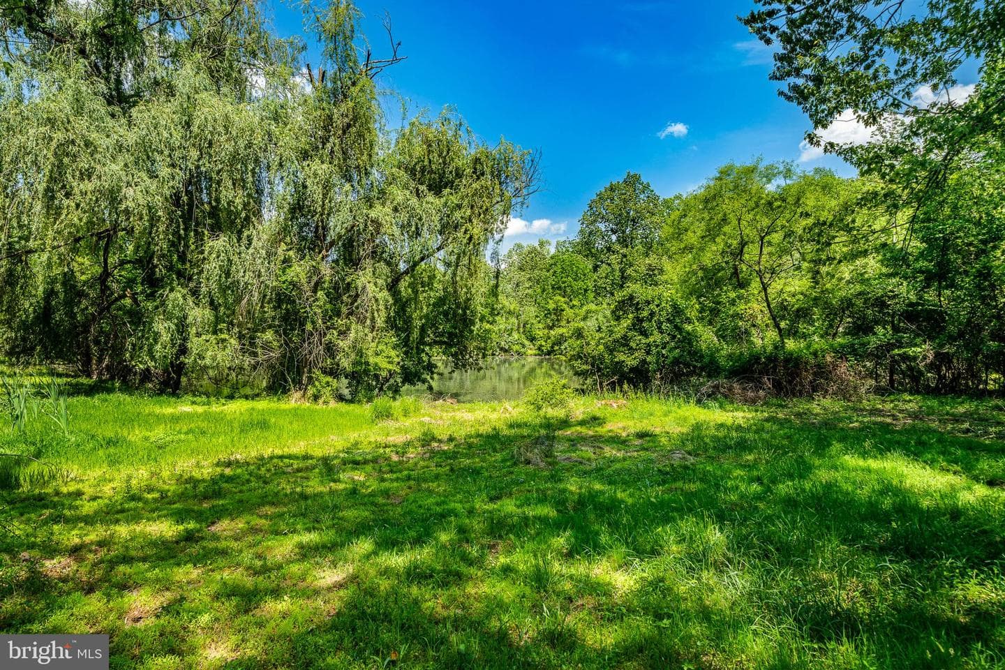158 Locksley Road photo 12