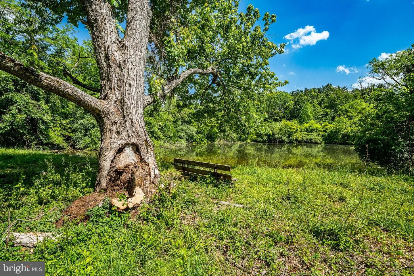 158 Locksley Road photo 16