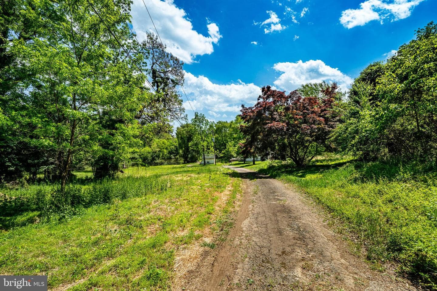 158 Locksley Road photo 6