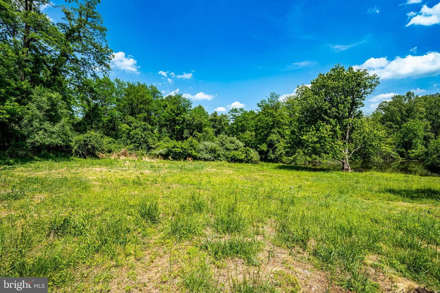 158 Locksley Road photo 8