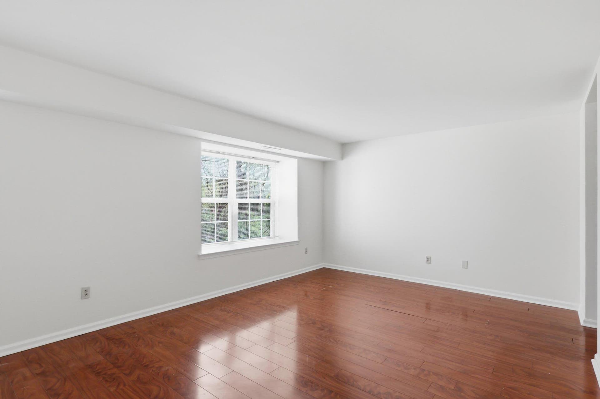 225 Windsor Court #225 photo 20