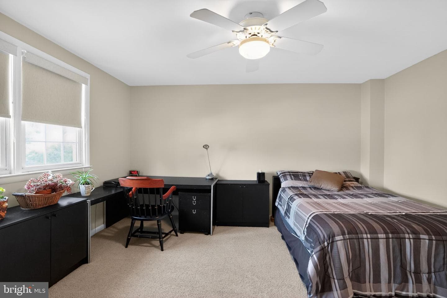 307 Colonial Drive photo 19