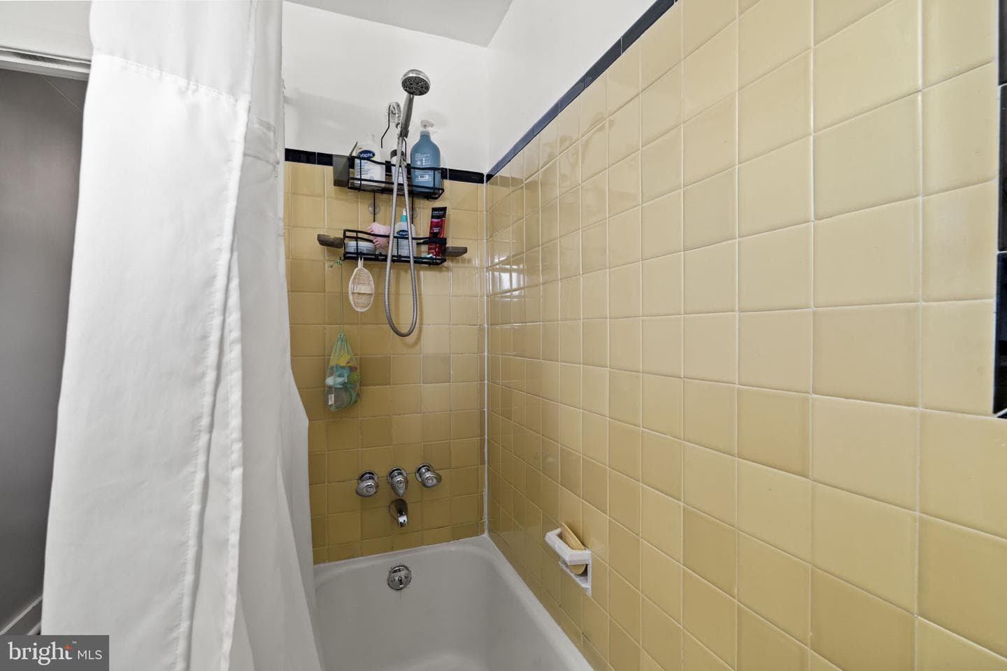 337 Abbey Terrace photo 18