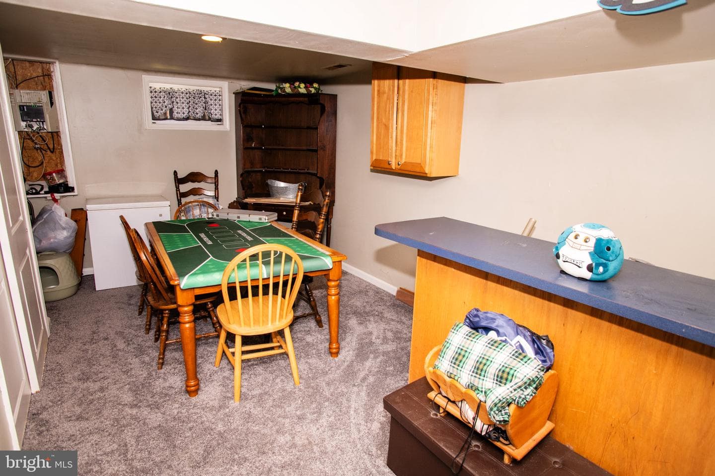 45 Radnor Drive photo 23