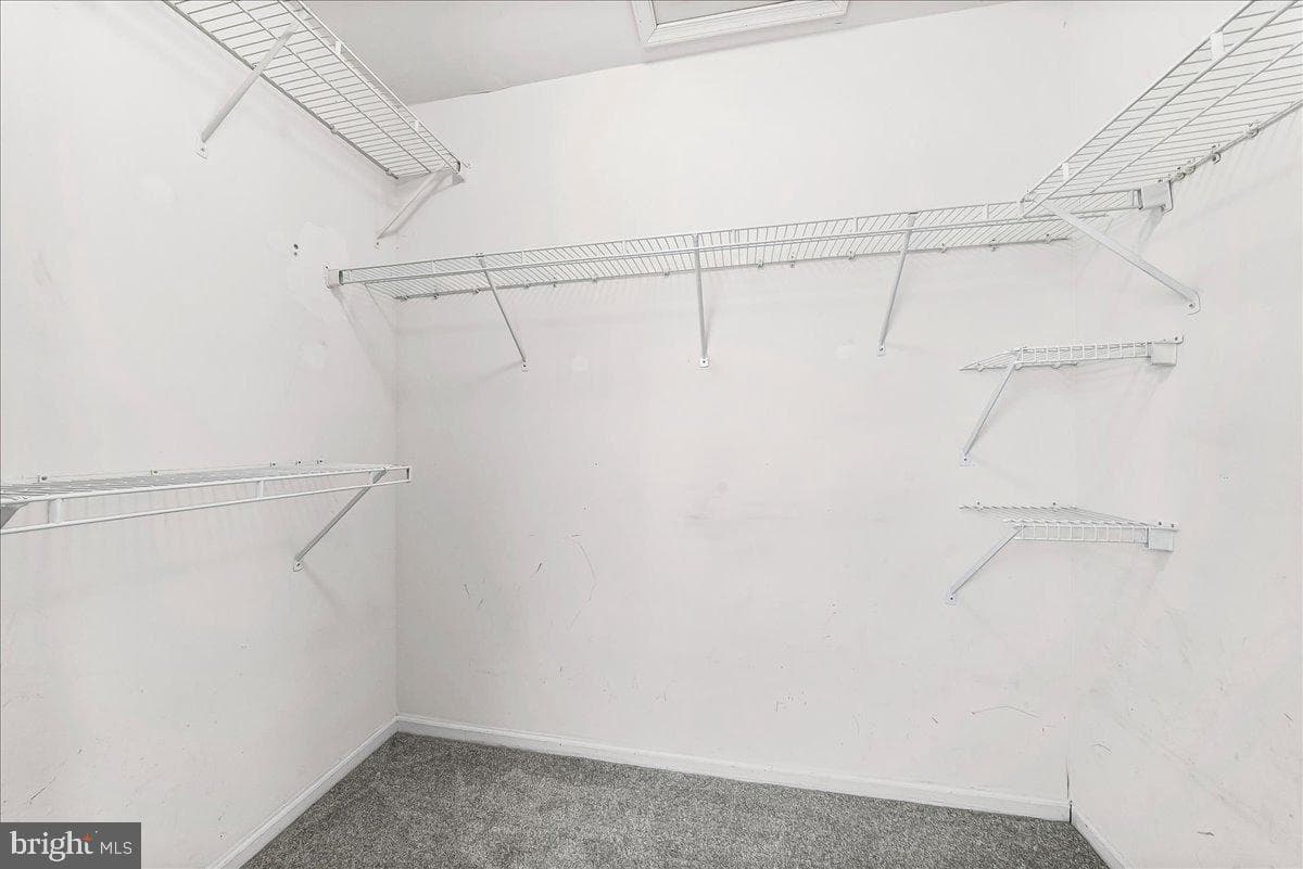 3174 William Road photo 24