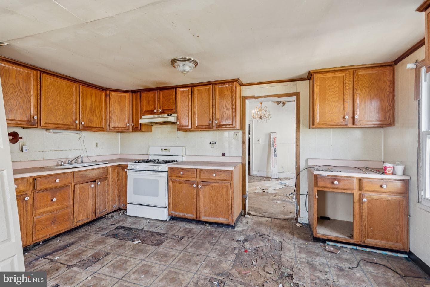 925 Kerlin Street photo 15