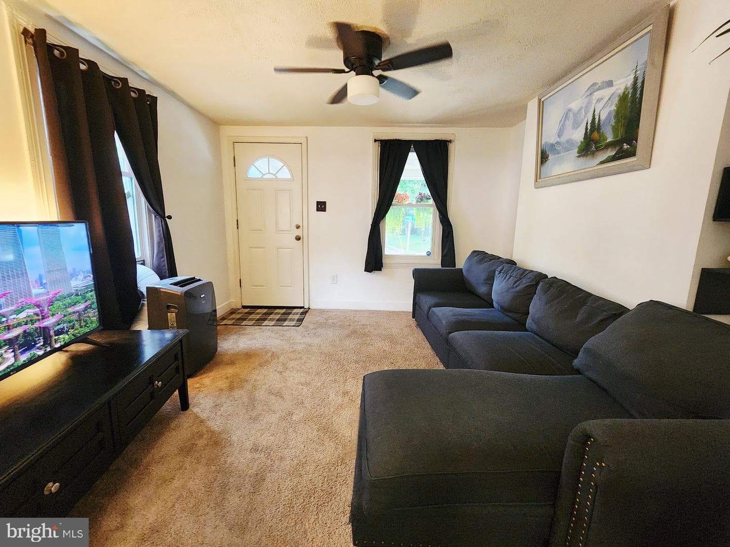 336 Springfield Road photo 4