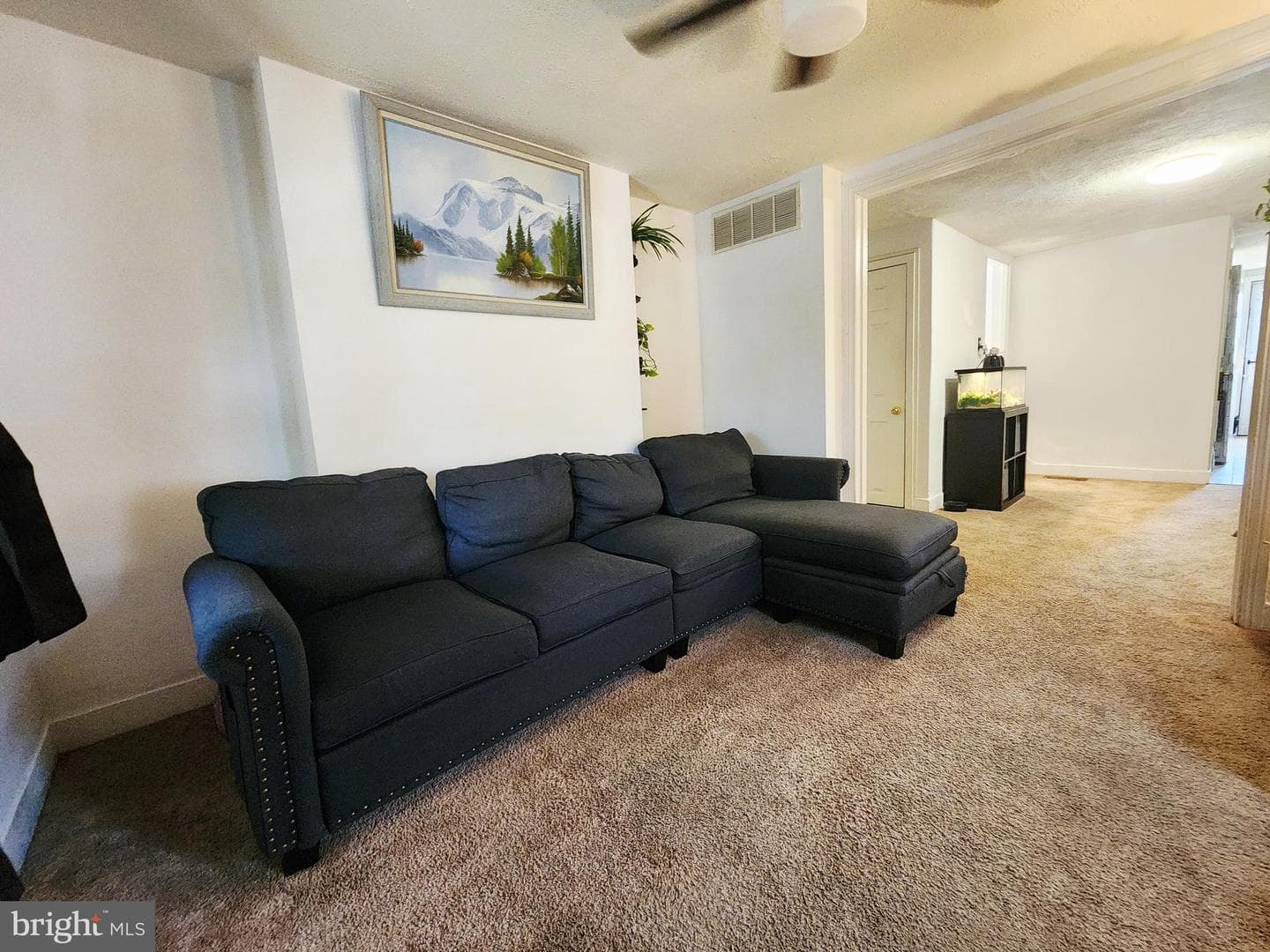 336 Springfield Road photo 5