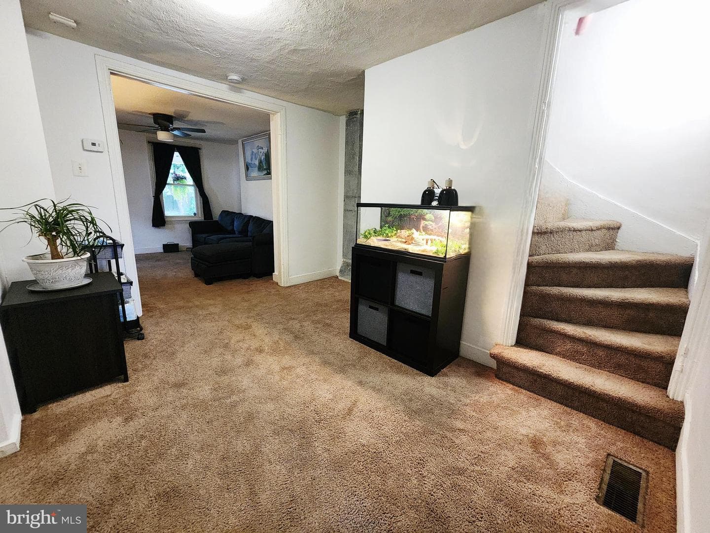 336 Springfield Road photo 7