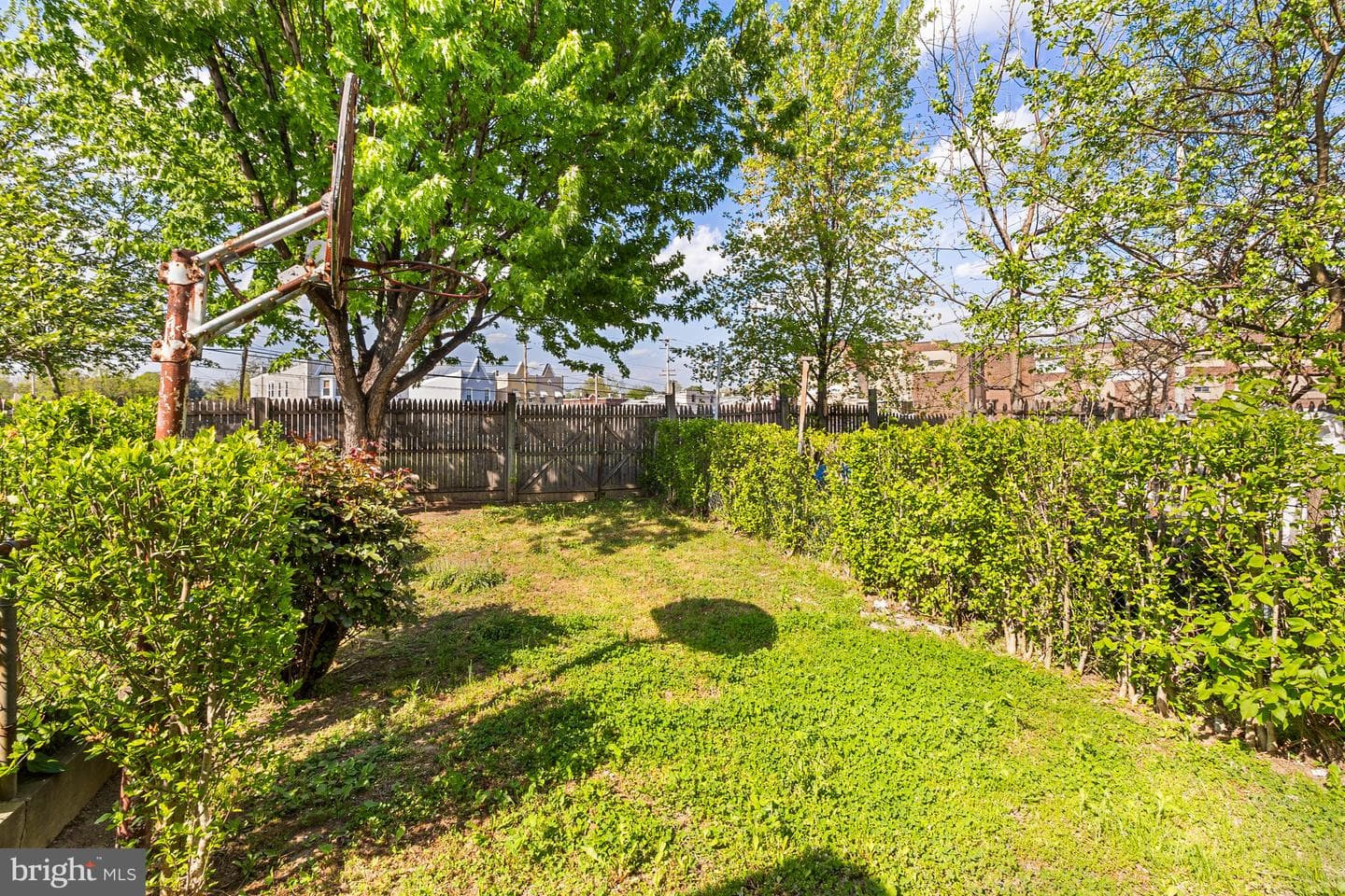 622 Green Street photo 30