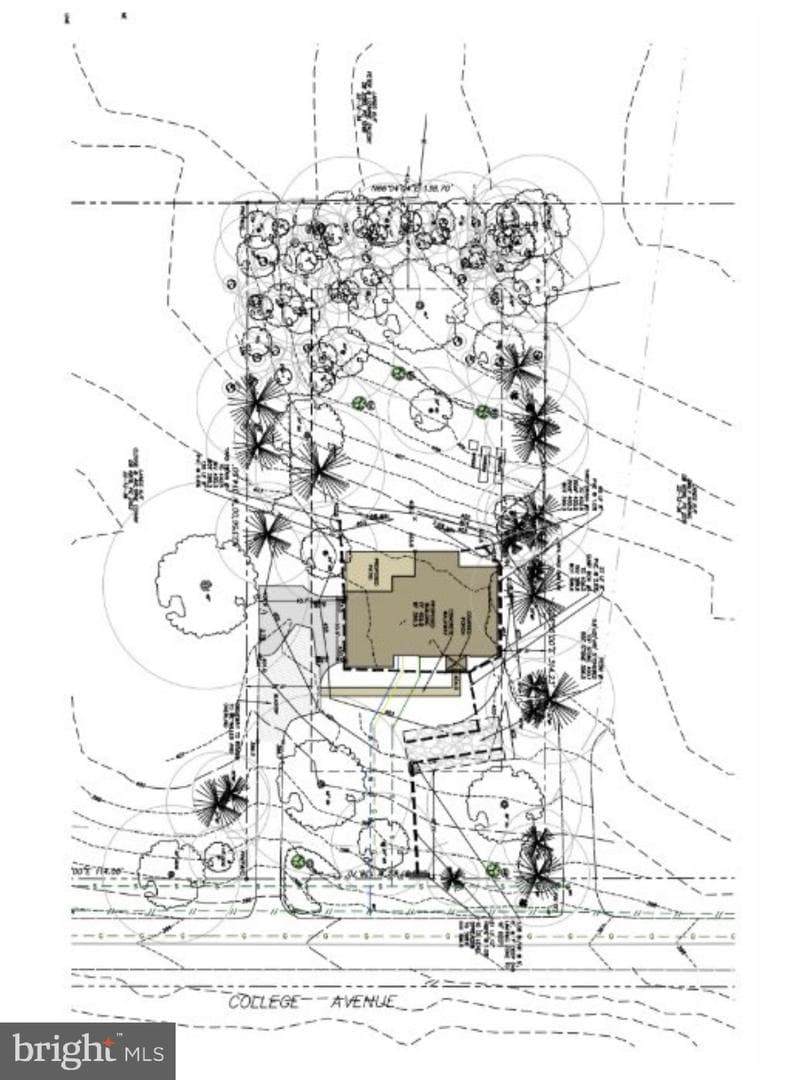 104 College Avenue photo 3