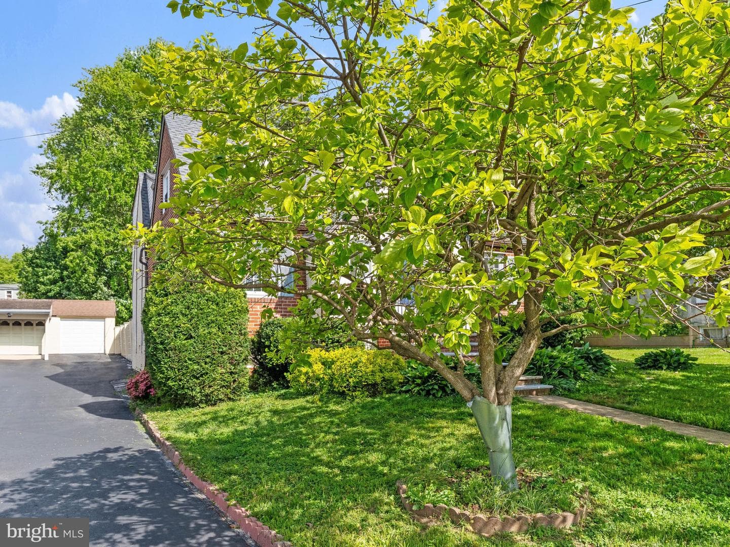 20 Davis Avenue photo 4
