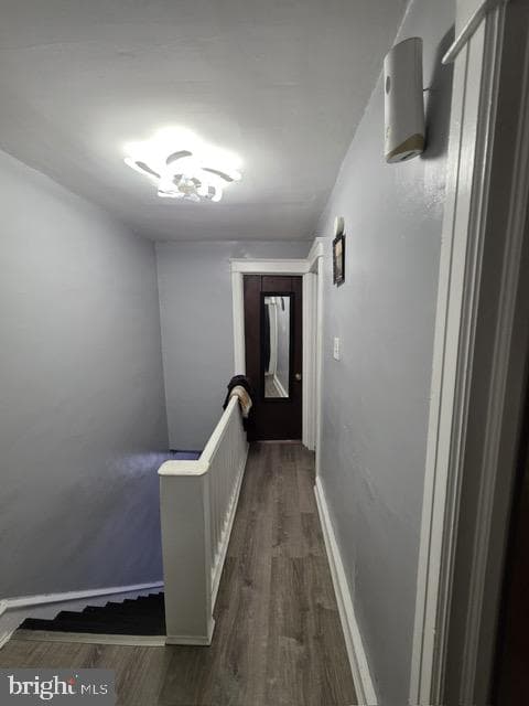 517 Cypress Street photo 7