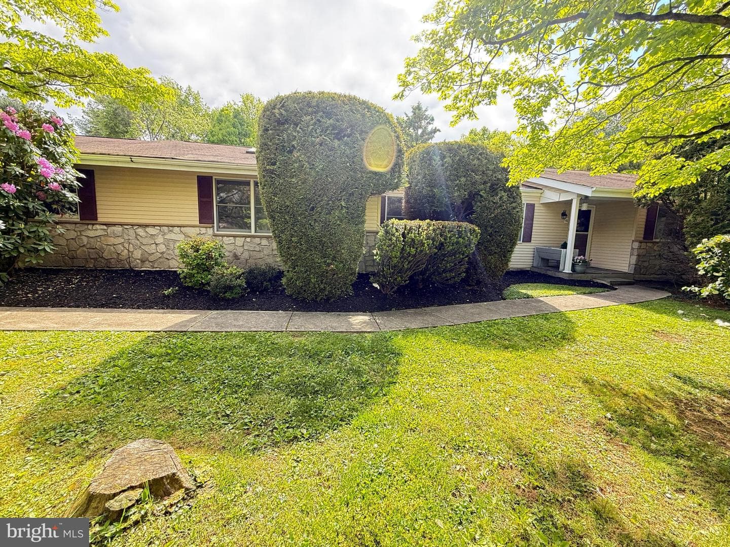 46 Sunset View Drive photo 5