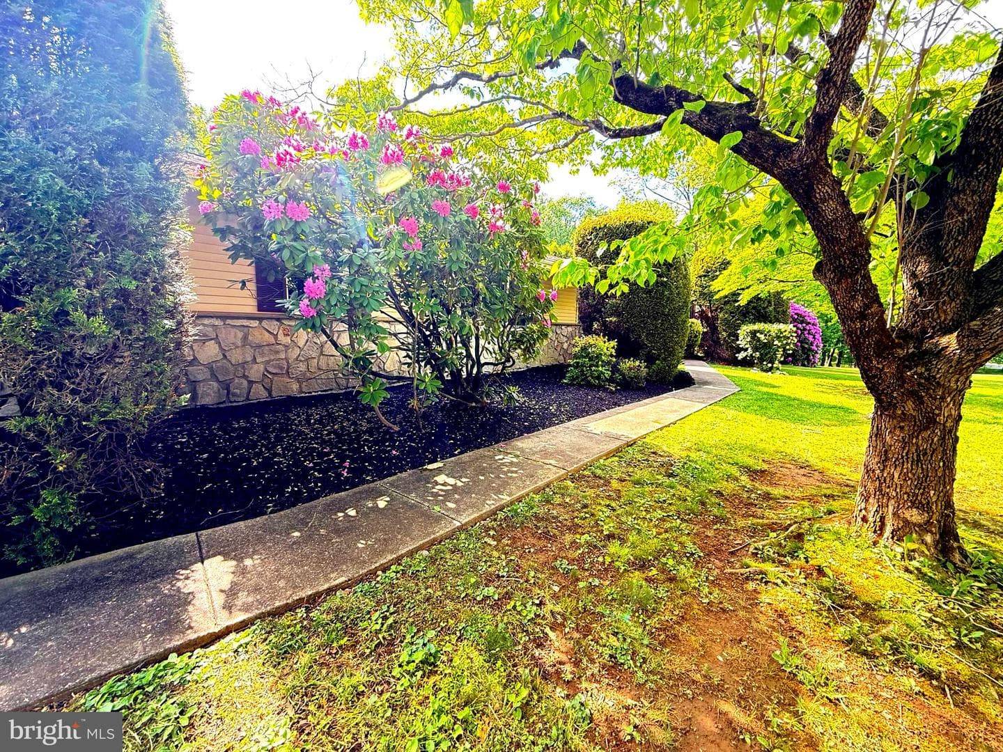 46 Sunset View Drive photo 7