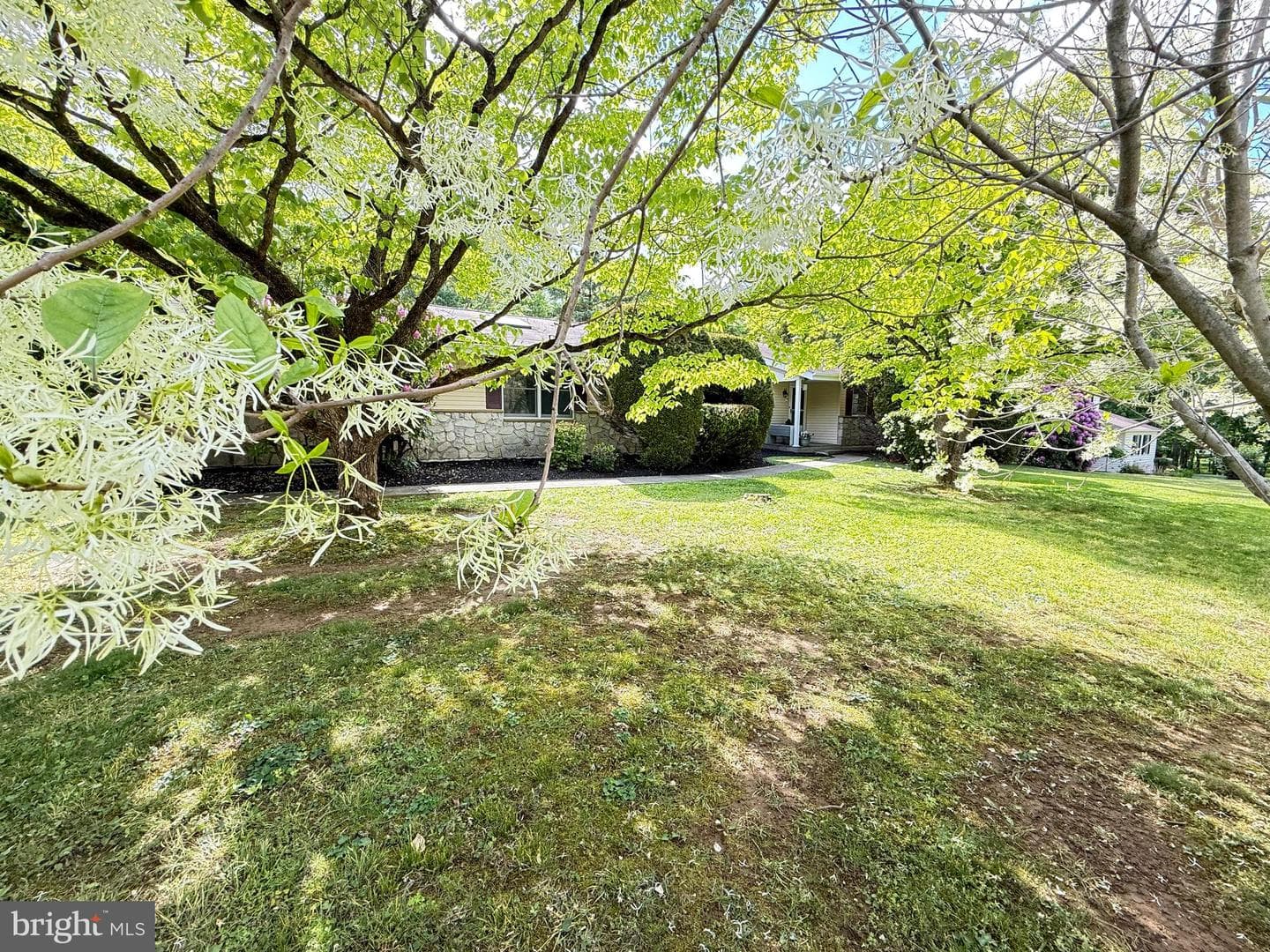 46 Sunset View Drive photo 8