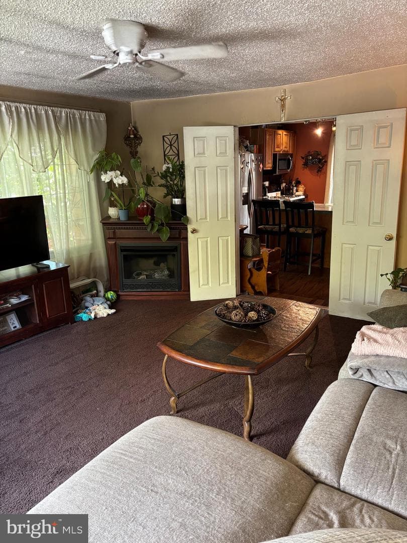2377 Booker Ave photo 12
