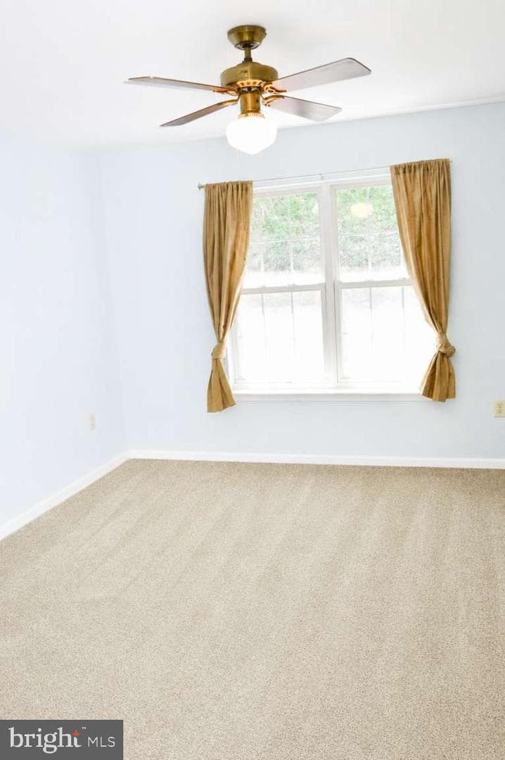 263 Miley Road photo 6