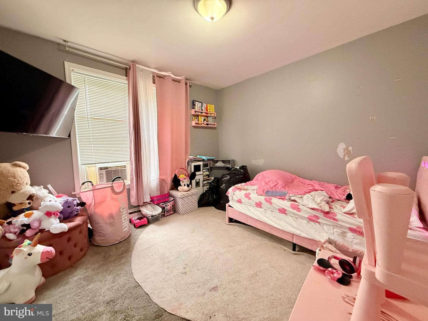 1019 Butler Street photo 18