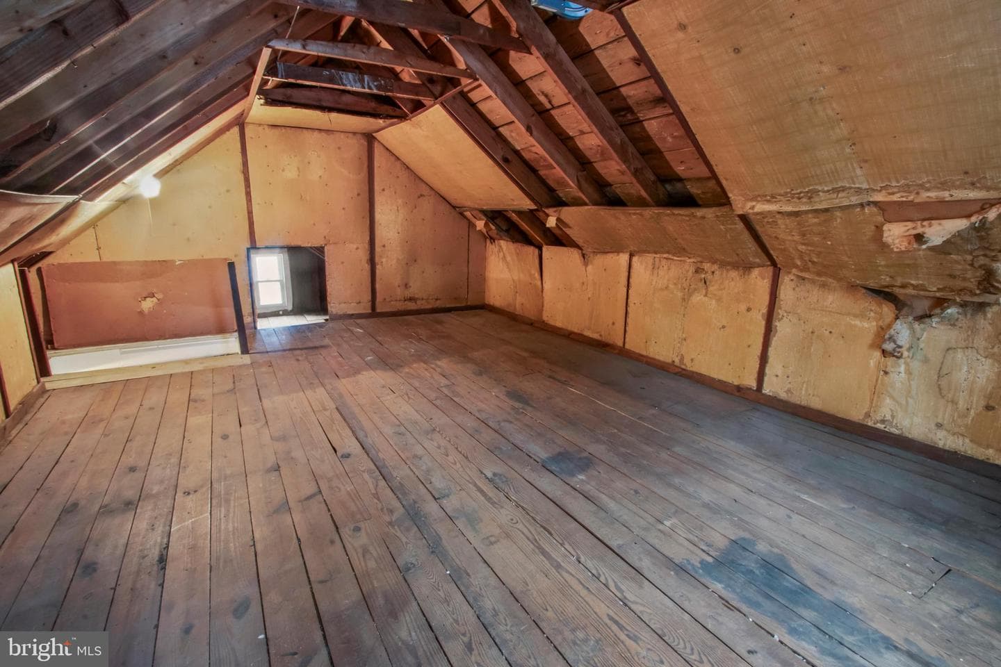309 Hastings Avenue photo 30