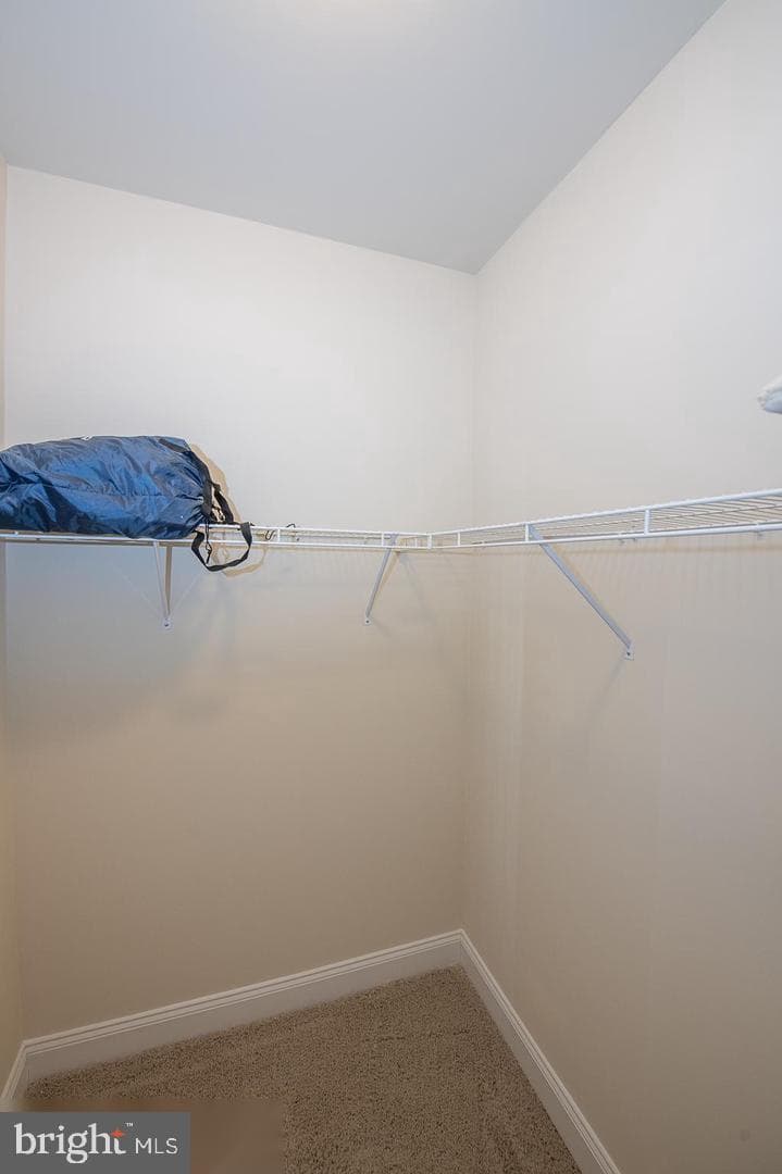 3704 Liseter Gardens photo 45