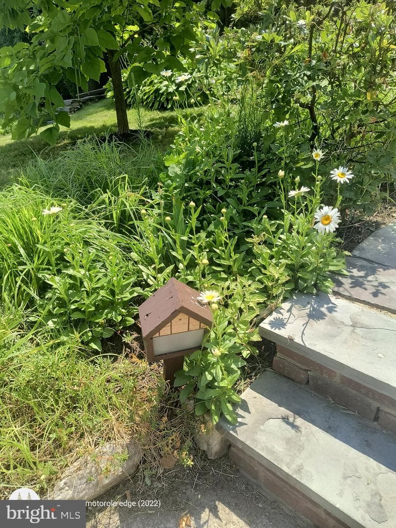 522 Brookfield Road photo 12