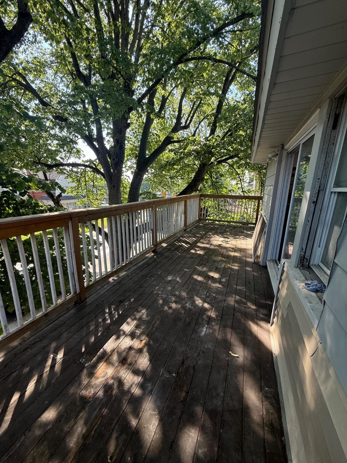 954 Church Lane photo 23