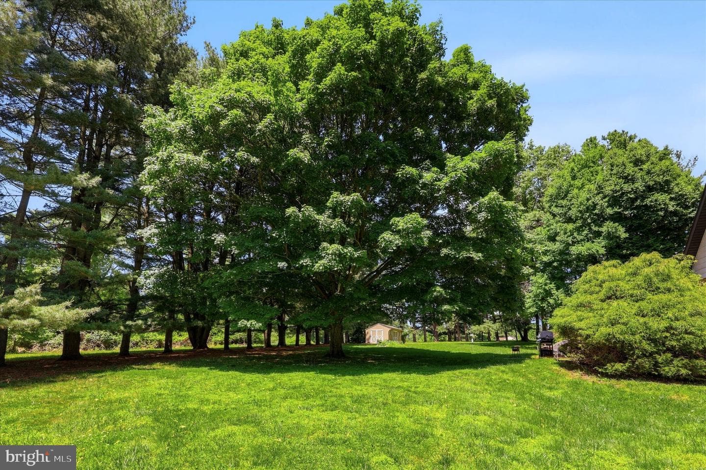 1295 Wakefield Ct Court photo 28