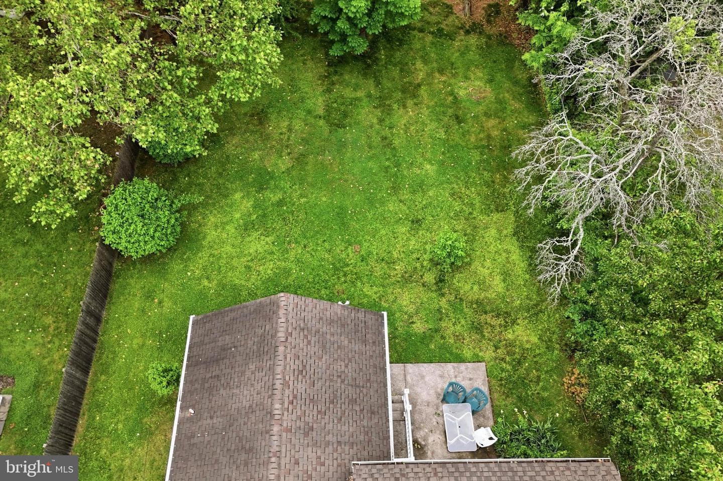 2916 Larkspur Lane photo 38