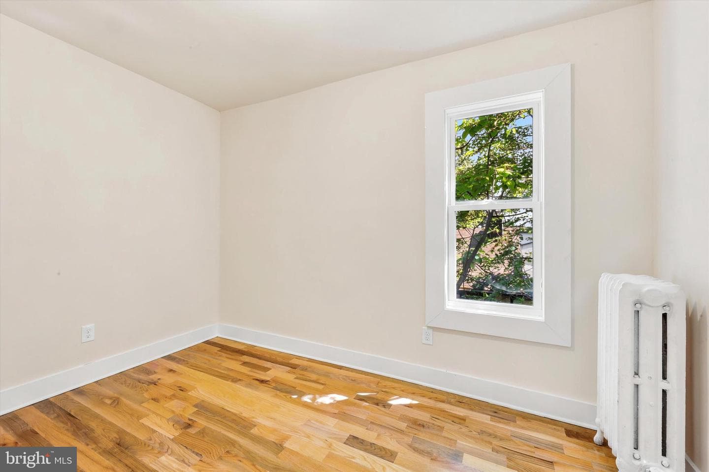 264 Maple Avenue photo 15