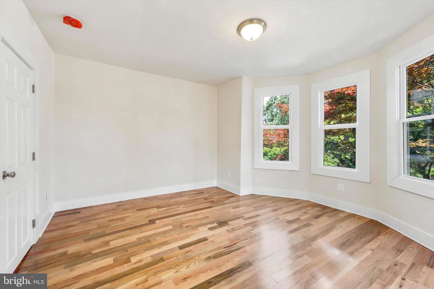 264 Maple Avenue photo 19